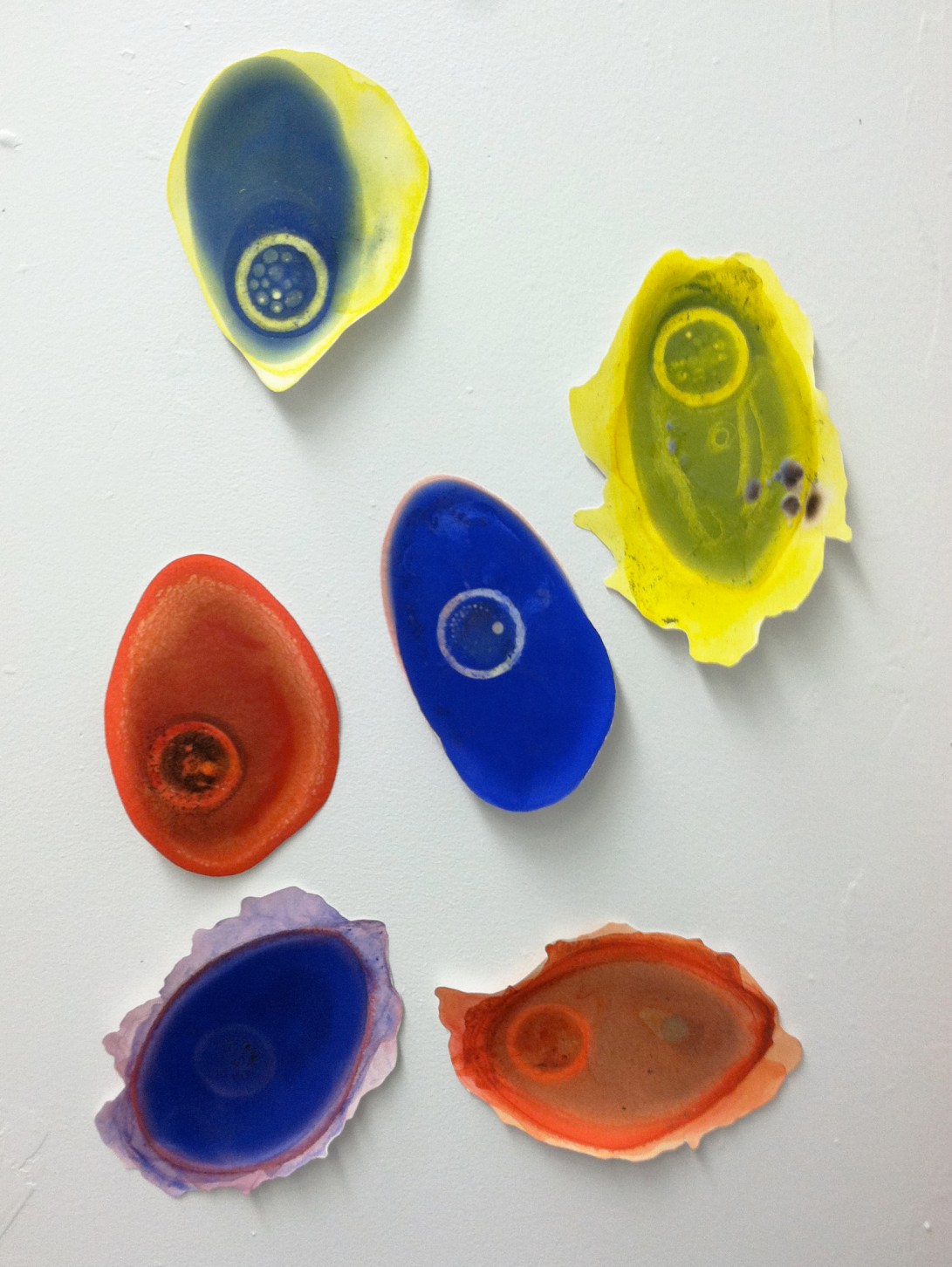 Bacteria, acrylic and dirt on paper