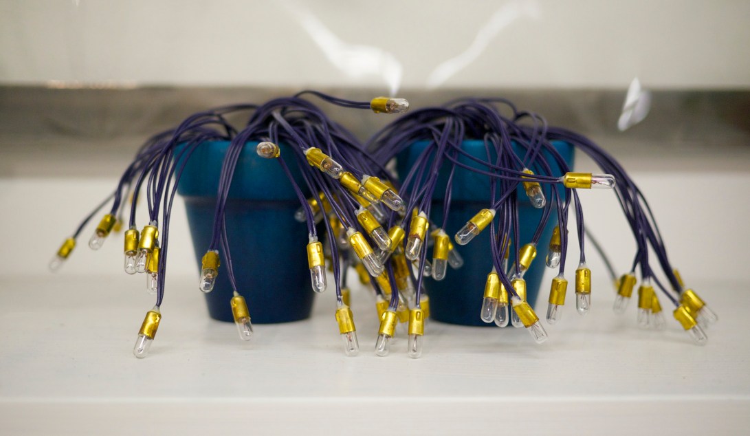 Converge,  lightbulbs, sand, clay pots, and aerosol paint