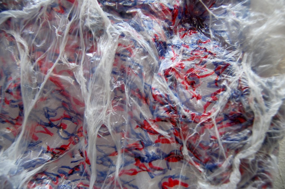 Brain Plasticity (details), Ink on Plastic Sheeting, 12" x 15"