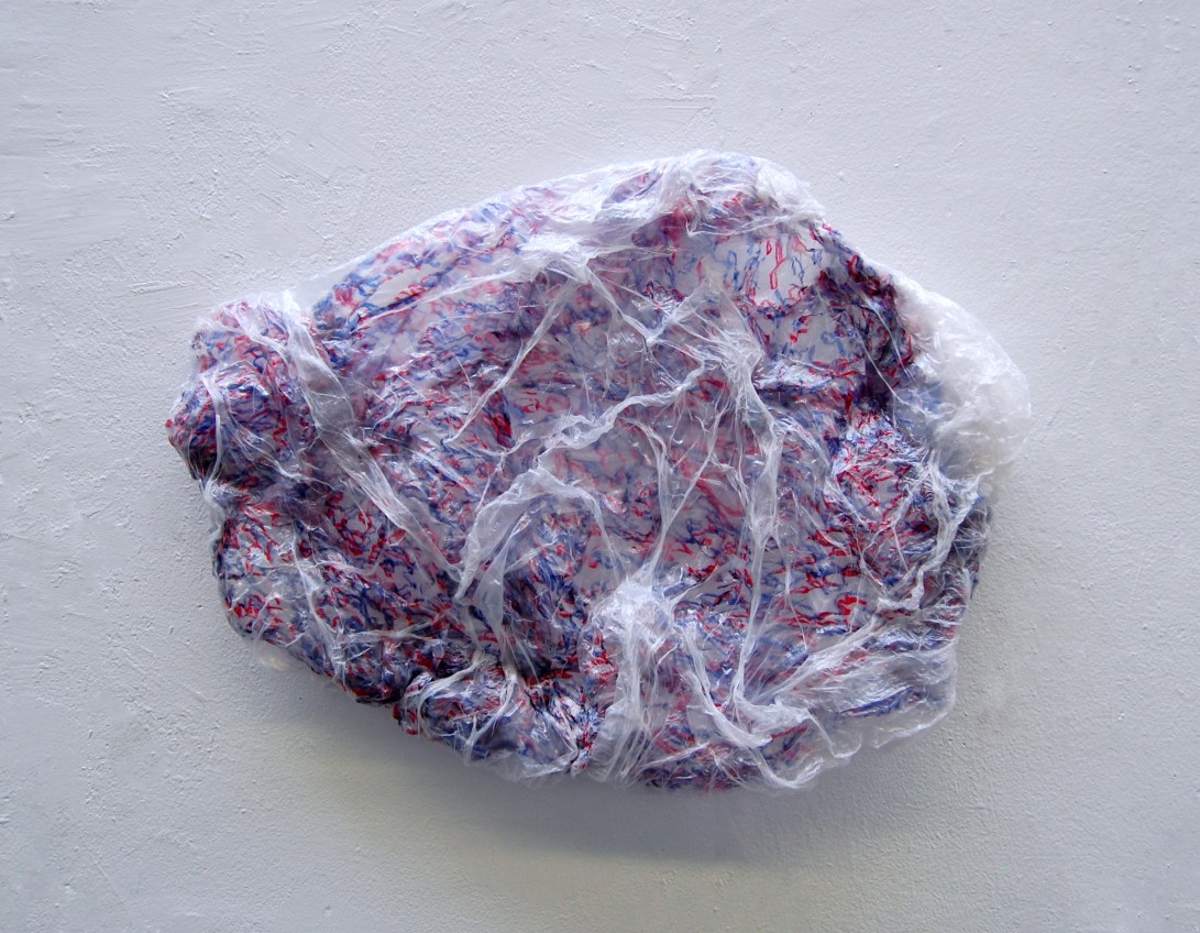 Brain Plasticity, Ink on Plastic Sheeting, 12" x 15"