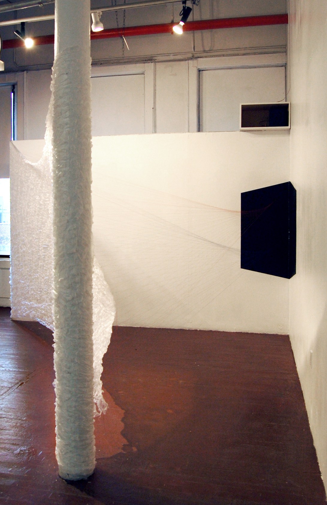 Entangled in Emergence, Plastic Sheet, Black Enamel, String, Nails, Installation